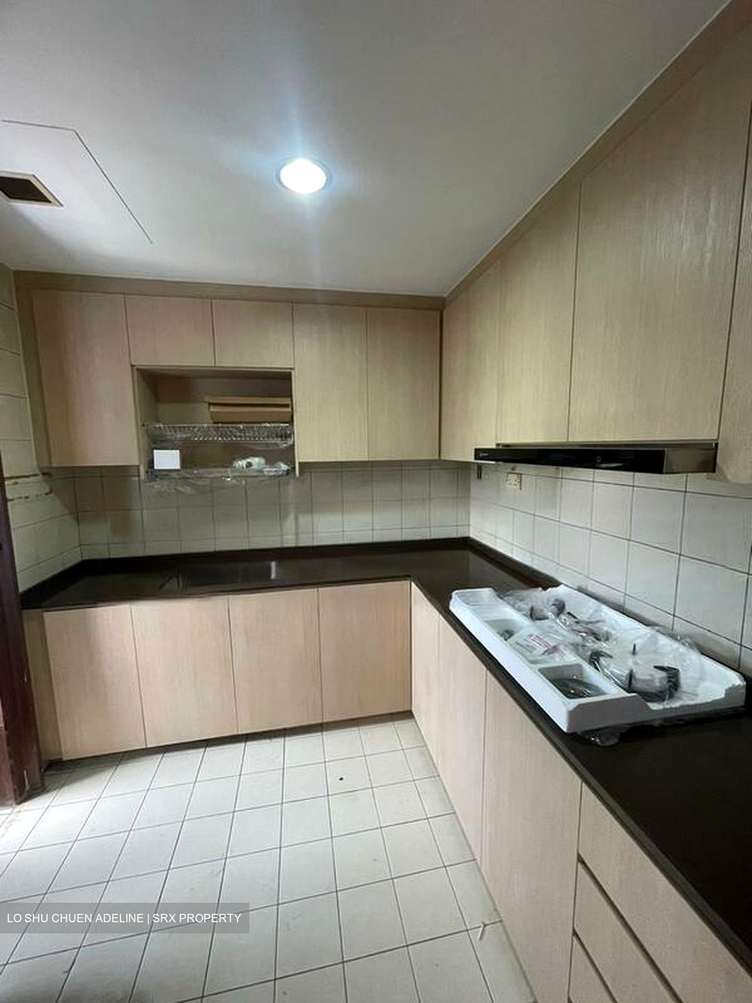 Carissa Park Condominium (D17), Condominium #460847761